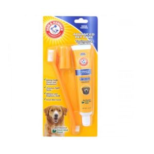 Arm & Hammer Tartar Control Beef Flavoured Toothpaste and Brush Set