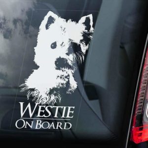 White Highland White Terrier - Car Window Sticker - Dog Sign - External Printed - V01