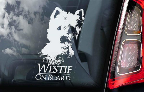 White Highland White Terrier - Car Window Sticker - Dog Sign - External Printed - V01