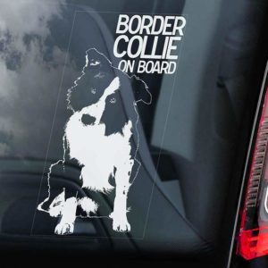 Border Collie - Car Window Sticker - Dog Sign - Internal Reverse Printed - V01