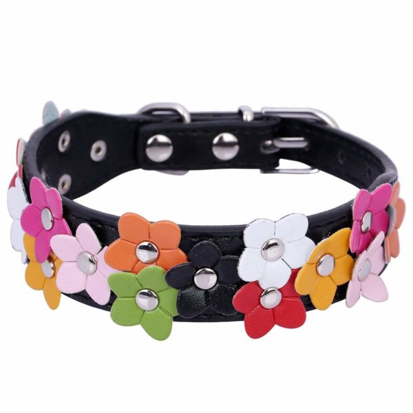 Pet Moon Soft PU Leather Dog Collar Flower Colour Padded Mulitple Colours (Black, Small(12 - 14.5 in))