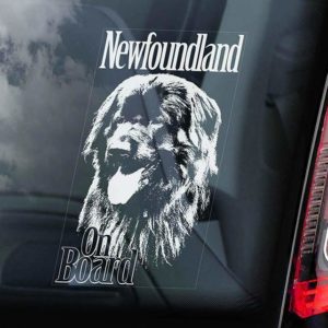 Newfoundland - Car Window Sticker - Dog Sign - External Printed - V01