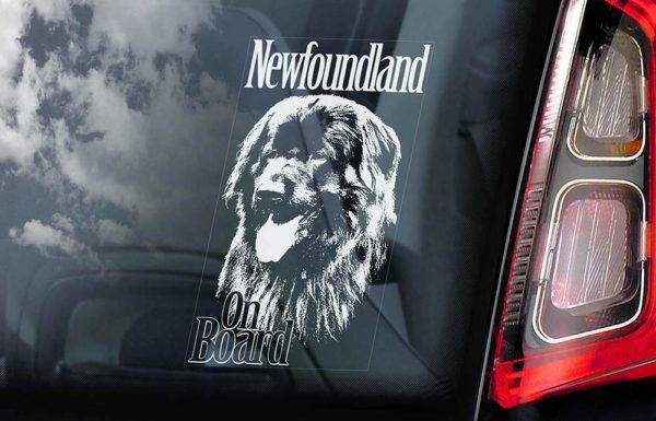 Newfoundland - Car Window Sticker - Dog Sign - External Printed - V01