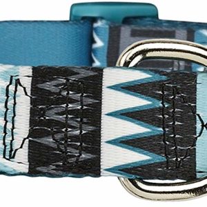 Friends Forever Dog Collar with Pattern designed by (Medium, Tribal Teal)