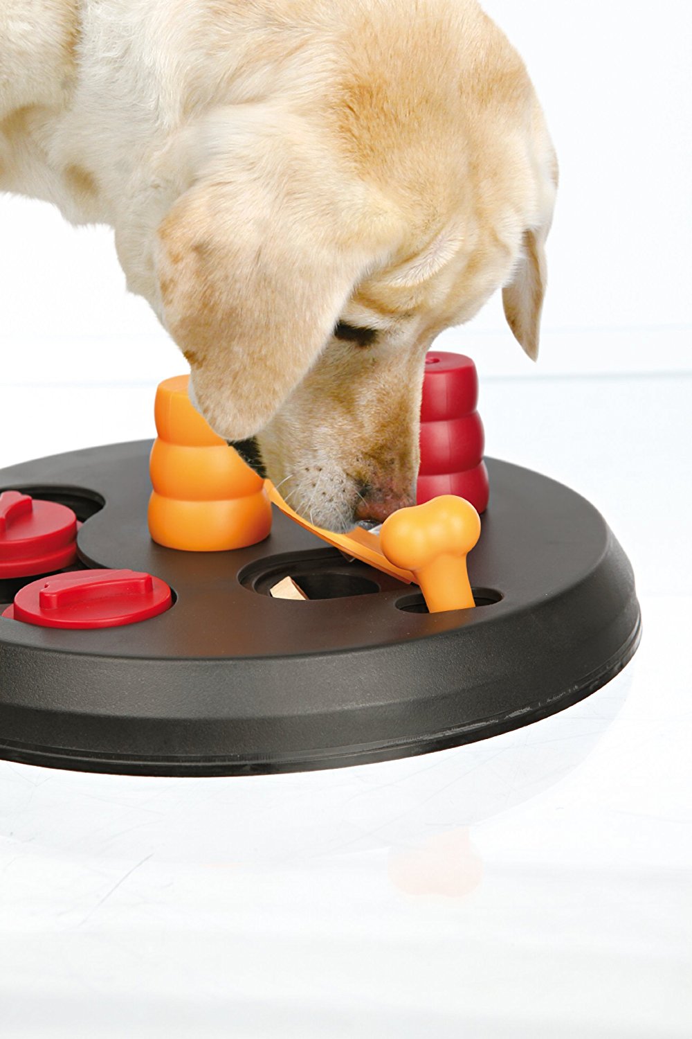 Trixie Dog Activity Flip Board Dog Toy